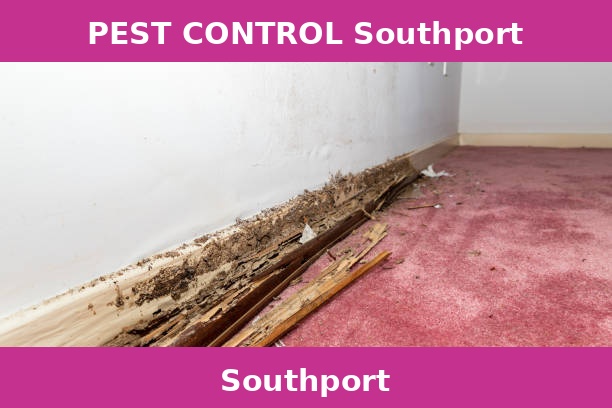 PEST CONTROL Southport